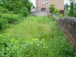 Photo 3- click for photo gallery